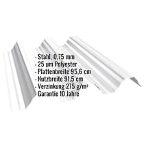 Hochprofil T92P | Dach | Stahl 0,75 mm | 25 µm Polyester | 9010 - Reinweiß #2