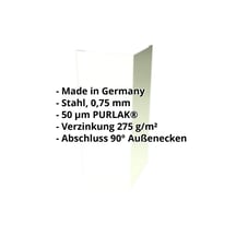 Außenecke | 100 x 100 x 2000 mm | Stahl 0,75 mm | 50 µm PURLAK® | 9002 - Grauweiß #2