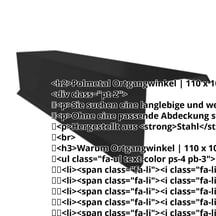 Ortgangwinkel | 110 x 100 x 2000 mm | Stahl 0,50 mm | 50 µm PURLAK® | 9005 - Tiefschwarz #2