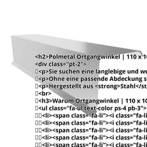 Ortgangwinkel | 110 x 100 x 2000 mm | Stahl 0,50 mm | 25 µm Polyester | 9006 - Weißaluminium #2