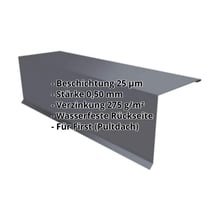 Pultabschluss | 110 x 100 x 2000 mm | 80° | Stahl 0,50 mm | 25 µm Polyester | 7024 - Graphitgrau #2