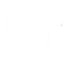 Pultabschluss | 11 cm x 10 cm x 2,00 m | 80° | Stahl 0,75 mm | 25 µm Polyester | 9010 - Reinweiß #2