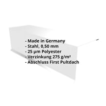 Pultabschluss | 150 x 150 x 2000 mm | 80° | Stahl 0,50 mm | 25 µm Polyester | 7035 - Lichtgrau #2