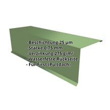 Pultabschluss | 150 x 150 x 2000 mm | 80° | Stahl 0,75 mm | 25 µm Polyester | 6011 - Resedagrün #2