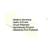 Pultabschluss | 150 x 150 x 2000 mm | 80° | Stahl 0,75 mm | 25 µm Polyester | 9002 - Grauweiß #2