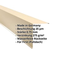 Pultabschluss | 200 x 250 mm | 80° | Stahl 0,75 mm | 25 µm Polyester | 1015 - Hellelfenbein #2