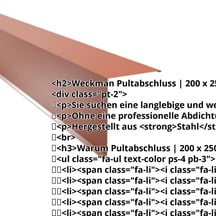 Pultabschluss | 200 x 250 mm | 85° | Stahl 0,63 mm | 25 µm Polyester | 8004 - Kupferbraun #2