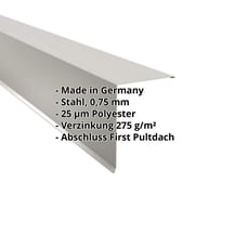 Pultabschluss | 200 x 250 mm | 85° | Stahl 0,75 mm | 25 µm Polyester | 9006 - Weißaluminium #2