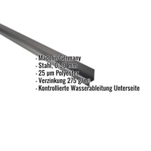 Sockelleiste | 5 x 2,5 x 2 cm | 100° | Stahl 0,50 mm | 25 µm Polyester | 7016 - Anthrazitgrau #2