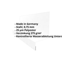 Sockelleiste | Typ 2 | 67 x 40 x 20 x 2000 mm | Stahl 0,75 mm | 25 µm Polyester | 7035 - Lichtgrau #2