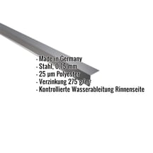 Traufenblech | 5 x 5 cm | 100° | Stahl 0,75 mm | 25 µm Polyester | 7016 - Anthrazitgrau #2