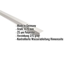 Traufenblech | 5 x 5 cm | 100° | Stahl 0,75 mm | 25 µm Polyester | 9002 - Grauweiß #2