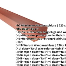 Wandanschluss | 220 x 150 mm | 95° | Stahl 0,50 mm | 25 µm Polyester | 8011 - Nussbraun #2