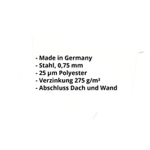 Wandanschluss | Typ 1 | 100 x 110 x 2000 | 90° | Stahl 0,75 mm | 25 µm Polyester | 9002 - Grauweiß #2