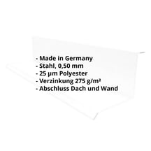 Wandanschluss | Typ 1 | 100 x 110 x 2000 mm | 90° | Stahl 0,50 mm | 25 µm Polyester | 7035 - Lichtgrau #2