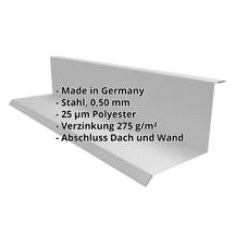 Wandanschluss | Typ 1 | 100 x 110 x 2000 mm | 90° | Stahl 0,50 mm | 25 µm Polyester | 9007 - Graualuminium #2