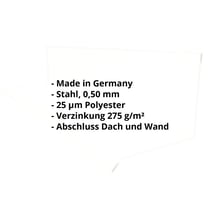 Wandanschluss | Typ 2 | 100 x 110 x 2000 mm | 90° | Stahl 0,50 mm | 25 µm Polyester | 9002 - Grauweiß #2