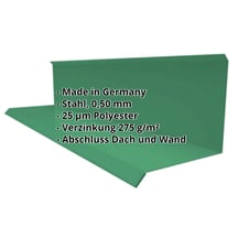 Wandanschluss | Typ 3 | 100 x 110 x 2000 mm | 90° | Stahl 0,50 mm | 25 µm Polyester | 6029 - Minzgrün #2