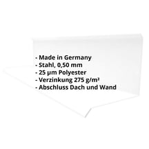 Wandanschluss | Typ 3 | 100 x 110 x 2000 mm | 90° | Stahl 0,50 mm | 25 µm Polyester | 7035 - Lichtgrau #2