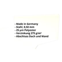 Wandanschluss | Typ 3 | 100 x 110 x 2000 mm | 90° | Stahl 0,50 mm | 25 µm Polyester | 9002 - Grauweiß #2