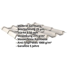 Pfannenblech EUROPA | Anti-Tropf 1000 g/m² | Stahl 0,50 mm | 25 µm Polyester | 7035 - Lichtgrau #2
