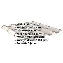 Pfannenblech EUROPA | Anti-Tropf 1000 g/m² | Stahl 0,63 mm | 25 µm Polyester | 7035 - Lichtgrau #2