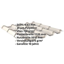 Pfannenblech EUROPA | Anti-Tropf 700 g/m² | Stahl 0,63 mm | 25 µm Polyester | 9006 - Weißaluminium #2