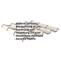 Pfannenblech EUROPA | Stahl 0,50 mm | 25 µm Polyester | 9002 - Grauweiß #2