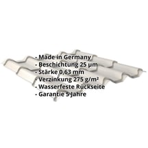 Pfannenblech EUROPA | Stahl 0,63 mm | 25 µm Polyester | 9006 - Weißaluminium #2