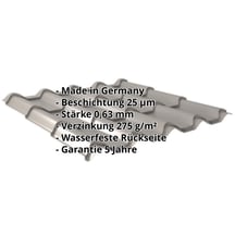 Pfannenblech EUROPA | Stahl 0,63 mm | 25 µm Polyester | 9007 - Graualuminium #2