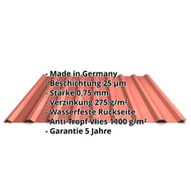 Trapezblech 20/1100 | Dach | Anti-Tropf 1000 g/m² | Aktionsblech | Stahl 0,75 mm | 25 µm Polyester | 8004 - Kupferbraun #2