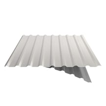 Trapezblech 20/1100 | Dach | Anti-Tropf 1000 g/m² | Stahl 0,50 mm | 25 µm Polyester | 9010 - Reinweiß #5