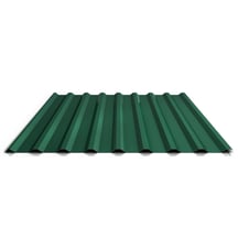Trapezblech 20/1100 | Dach | Anti-Tropf 1000 g/m² | Stahl 0,50 mm | 60 µm TTHD | 6005 - Moosgrün #1