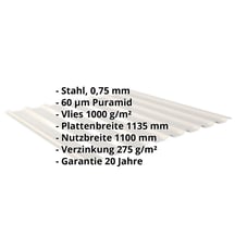 Trapezblech 20/1100 | Dach | Anti-Tropf 1000 g/m² | Stahl 0,75 mm | 60 µm Puramid | 9002 - Grauweiß #2
