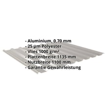 Trapezblech 20/1100 | Dach | Anti-Tropf 1000 g/m² | Aluminium 0,70 mm | 25 µm Polyester | 9007 - Graualuminium #2