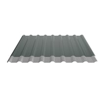 Trapezblech 20/1100 | Dach | Anti-Tropf 2400 g/m² | Stahl 0,50 mm | 60 µm Puramid | 6005 - Moosgrün #5