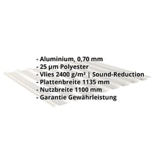 Trapezblech 20/1100 | Dach | Anti-Tropf 2400 g/m² | Aluminium 0,70 mm | 25 µm Polyester | 9006 - Weißaluminium #2