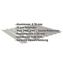 Trapezblech 20/1100 | Dach | Anti-Tropf 2400 g/m² | Aluminium 0,70 mm | 25 µm Polyester | 9007 - Graualuminium #2