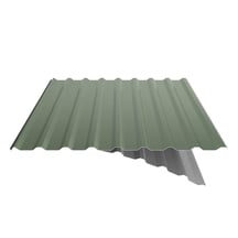 Trapezblech 20/1100 | Dach | Anti-Tropf 700 g/m² | Stahl 0,50 mm | 25 µm Polyester | 6011 - Resedagrün #5