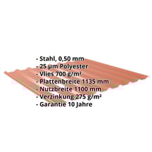 Trapezblech 20/1100 | Dach | Anti-Tropf 700 g/m² | Stahl 0,50 mm | 25 µm Polyester | 8004 - Kupferbraun #2