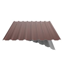 Trapezblech 20/1100 | Dach | Anti-Tropf 700 g/m² | Stahl 0,75 mm | 25 µm Polyester | 8012 - Rotbraun #5