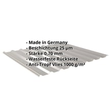 Trapezblech 20/1100 | Dach | Anti-Tropf 700 g/m² | Aluminium 0,70 mm | 25 µm Polyester | 9007 - Graualuminium #2