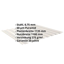 Trapezblech 20/1100 | Dach | Stahl 0,75 mm | 60 µm Puramid | 9002 - Grauweiß #2