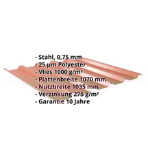 Trapezblech 35/207 | Dach | Anti-Tropf 1000 g/m² | Stahl 0,75 mm | 25 µm Polyester | 8004 - Kupferbraun #2