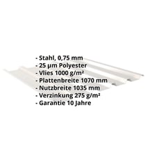 Trapezblech 35/207 | Dach | Anti-Tropf 1000 g/m² | Stahl 0,75 mm | 25 µm Polyester | 9002 - Grauweiß #2