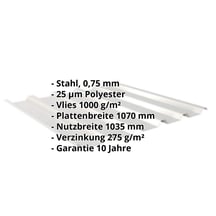 Trapezblech 35/207 | Dach | Anti-Tropf 1000 g/m² | Stahl 0,75 mm | 25 µm Polyester | 9006 - Weißaluminium #2
