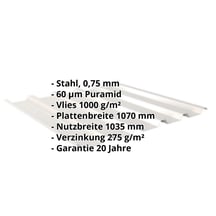 Trapezblech 35/207 | Dach | Anti-Tropf 1000 g/m² | Stahl 0,75 mm | 60 µm Puramid | 9002 - Grauweiß #2