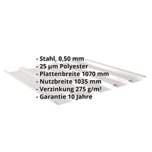 Trapezblech 35/207 | Dach | Stahl 0,50 mm | 25 µm Polyester | 7035 - Lichtgrau #2