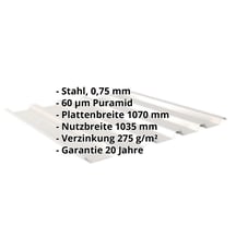 Trapezblech 35/207 | Dach | Stahl 0,75 mm | 60 µm Puramid | 9002 - Grauweiß #2