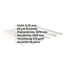 Trapezblech 35/207 | Wand | Stahl 0,75 mm | 60 µm Puramid | 9002 - Grauweiß #2